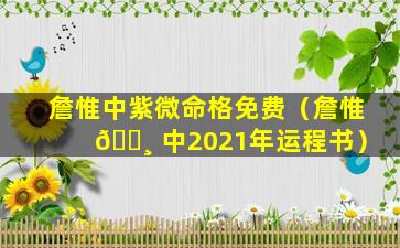 詹惟中紫微命格免费（詹惟 🕸 中2021年运程书）